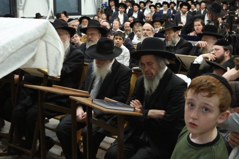 דובי קורן