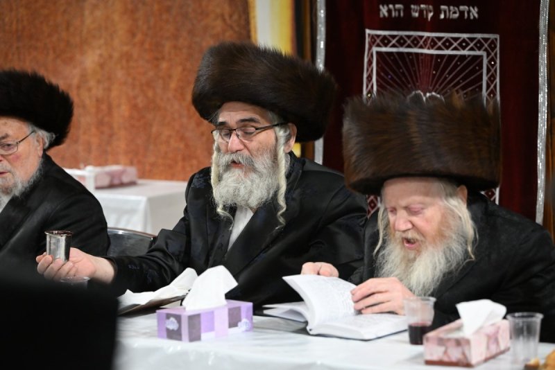 מאיר אדרי