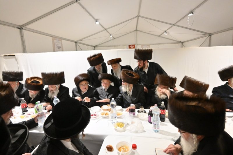 מאיר אדרי