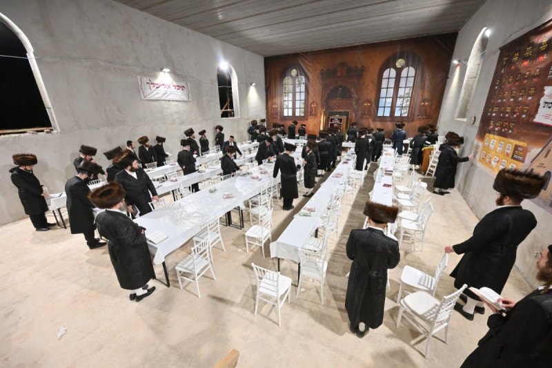 מאיר אדרי