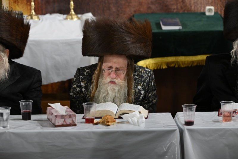 מאיר אדרי