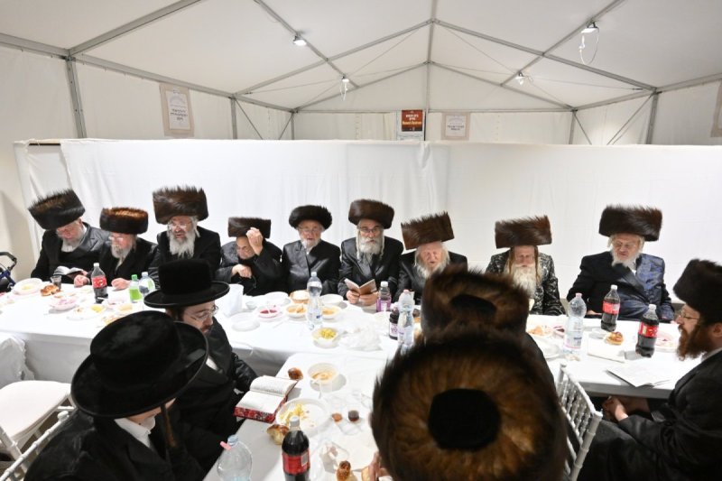 מאיר אדרי