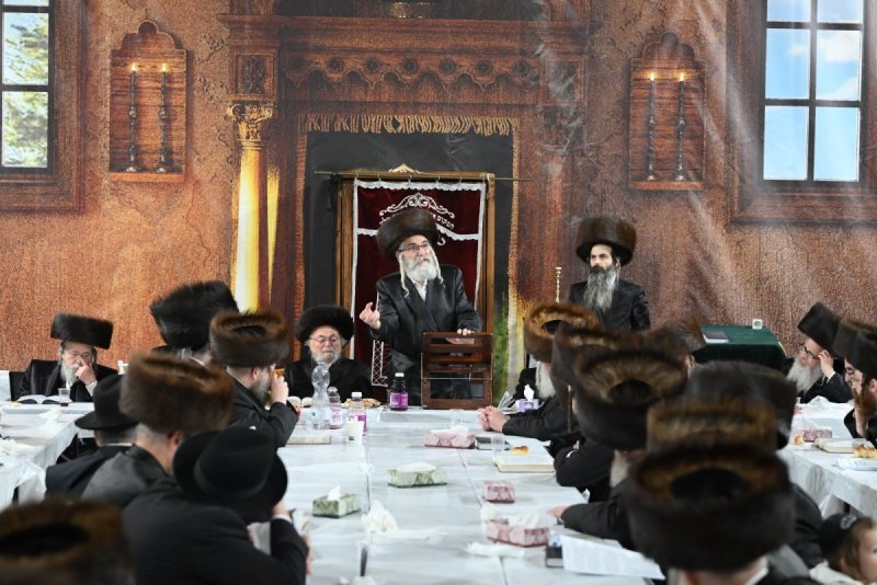 מאיר אדרי