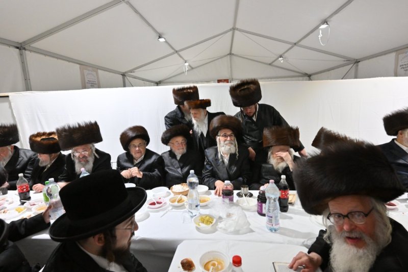 מאיר אדרי