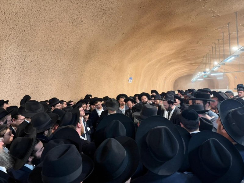 ישי חסון