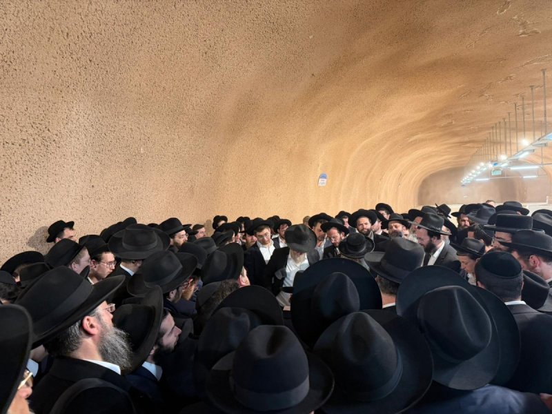 ישי חסון