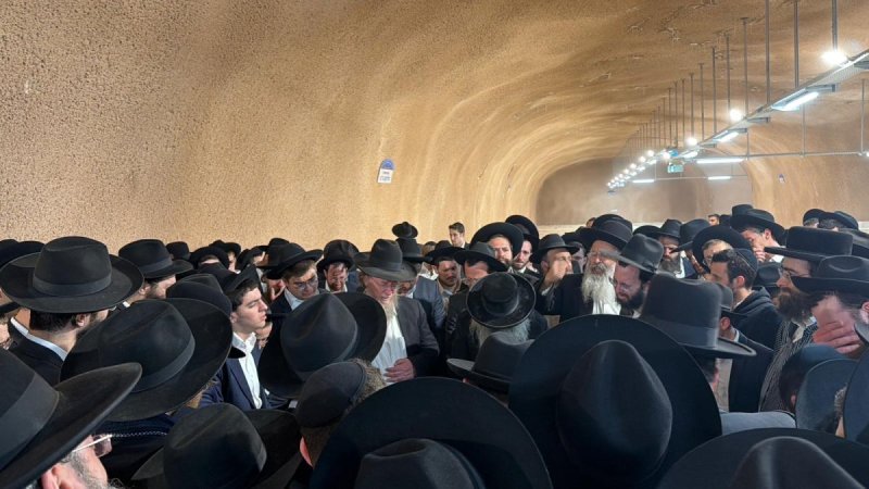 ישי חסון