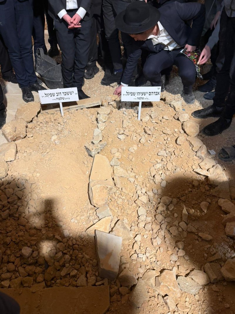 ישי חסון