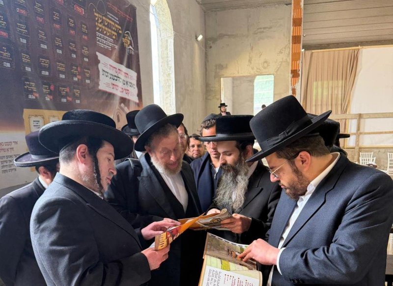 מאיר אדרי