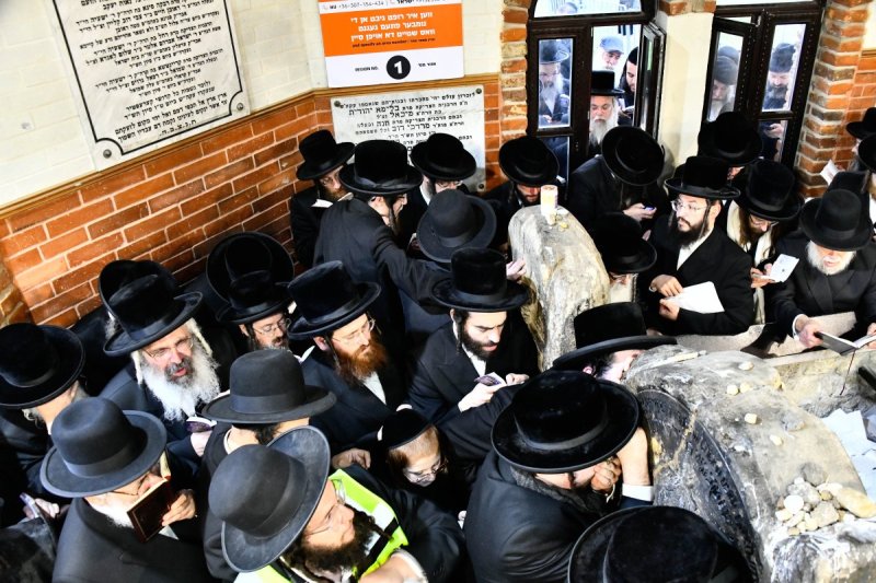 שוקי לרר