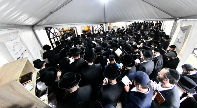 שוקי לרר