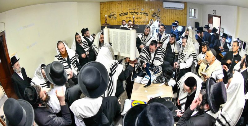 שוקי לרר