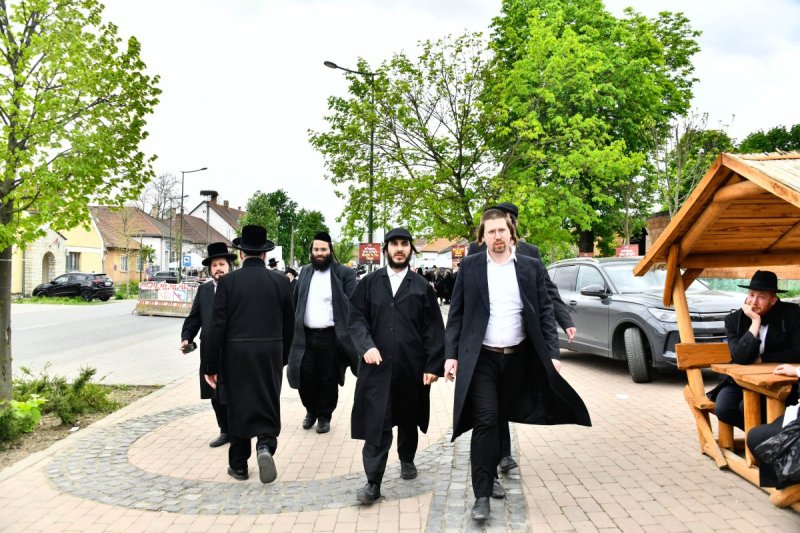שוקי לרר