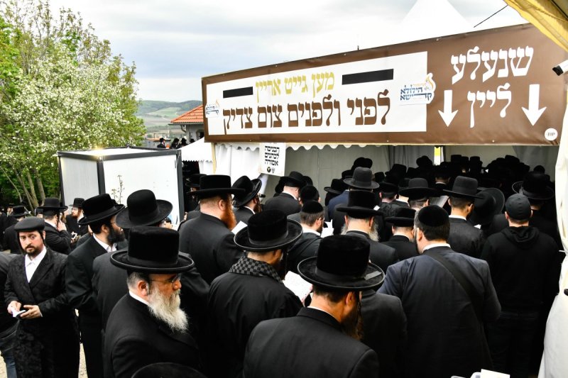 שוקי לרר