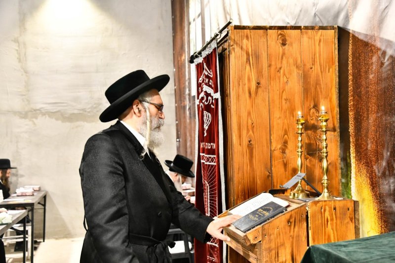 שוקי לרר