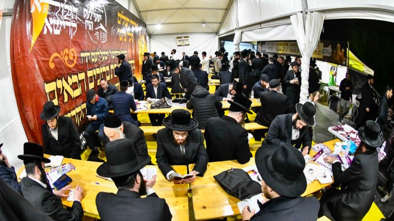 שוקי לרר