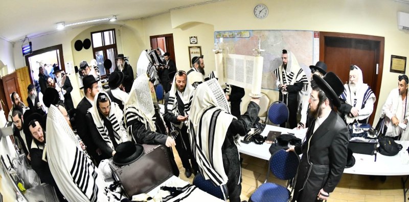 שוקי לרר