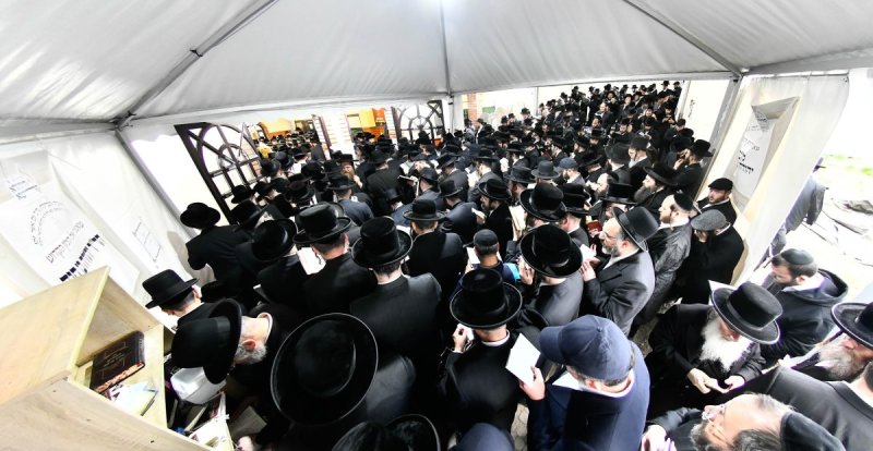 שוקי לרר