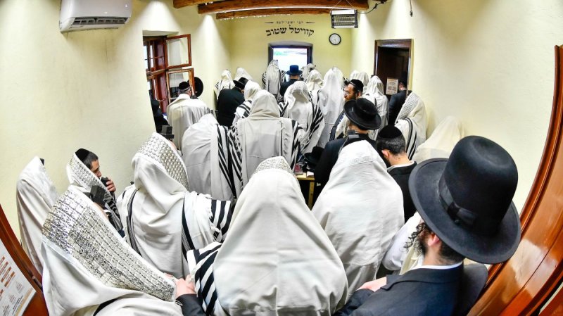 שוקי לרר