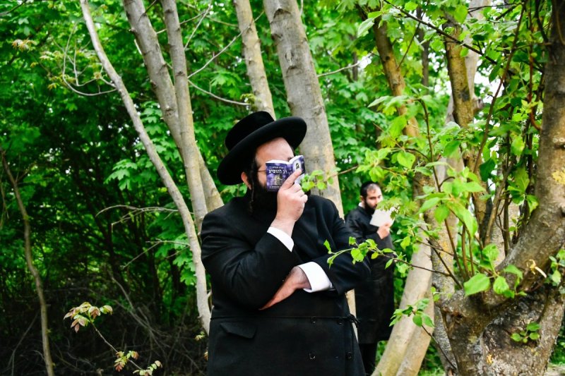 שוקי לרר