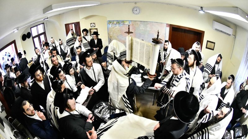 שוקי לרר