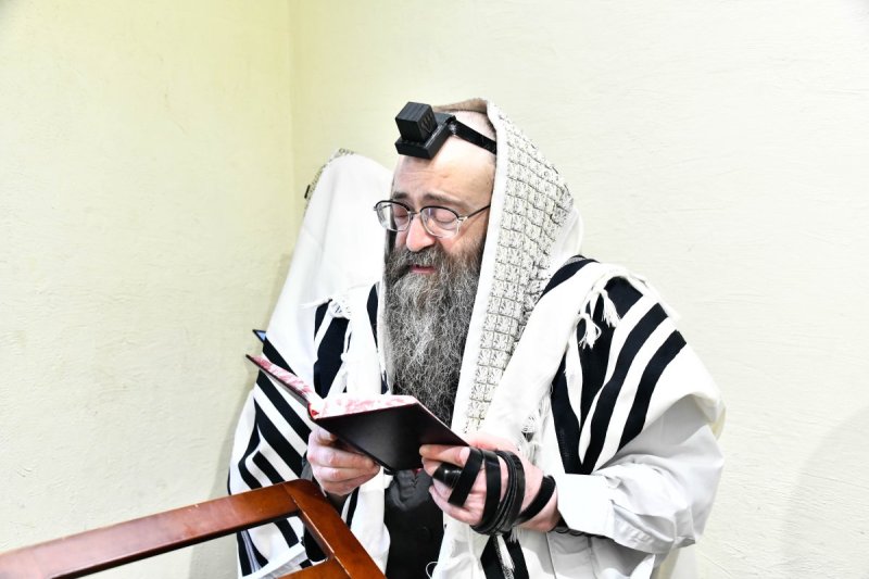 שוקי לרר
