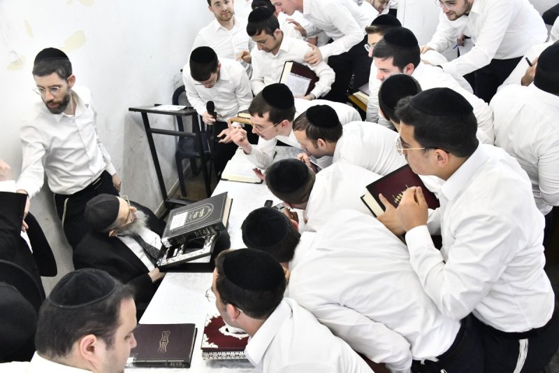 שוקי לרר