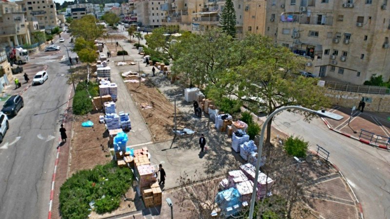 יהושע פרוכטר