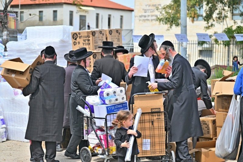 יהושע פרוכטר