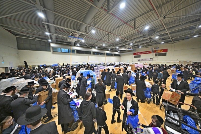 יהושע פרוכטר