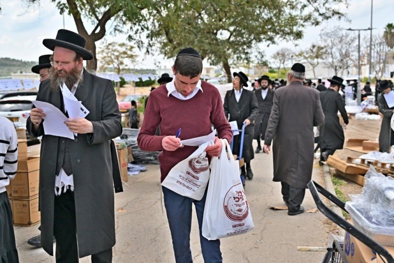 יהושע פרוכטר