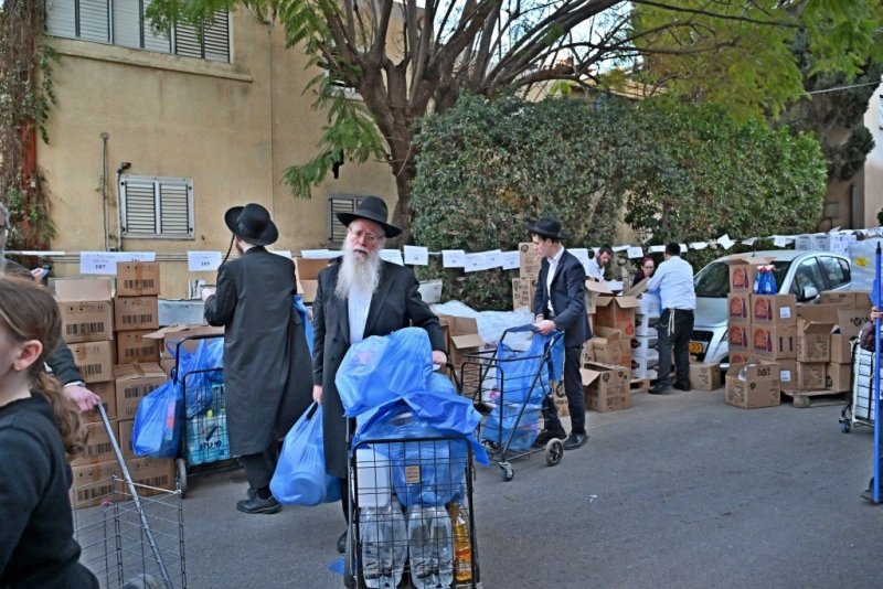 יהושע פרוכטר