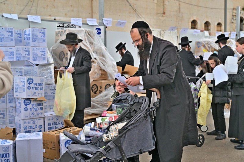 יהושע פרוכטר