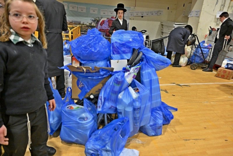 יהושע פרוכטר