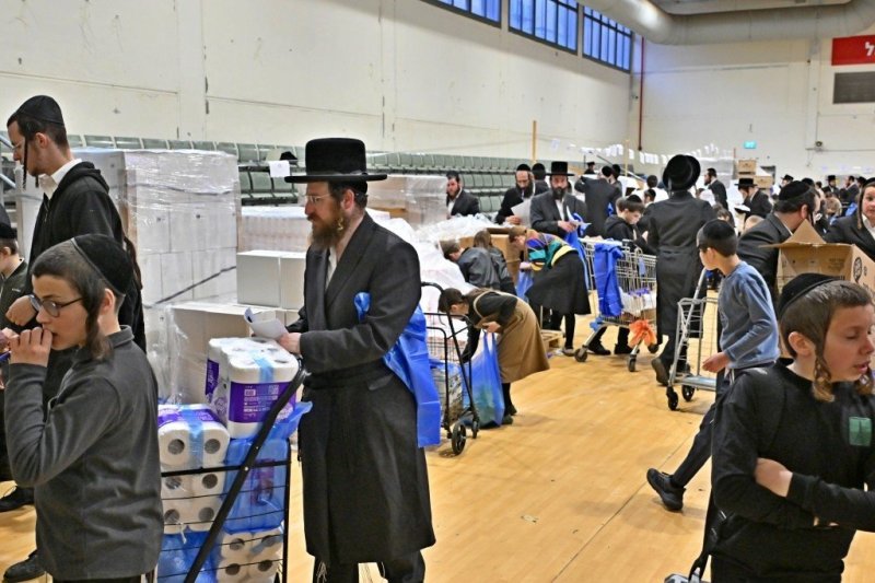 יהושע פרוכטר