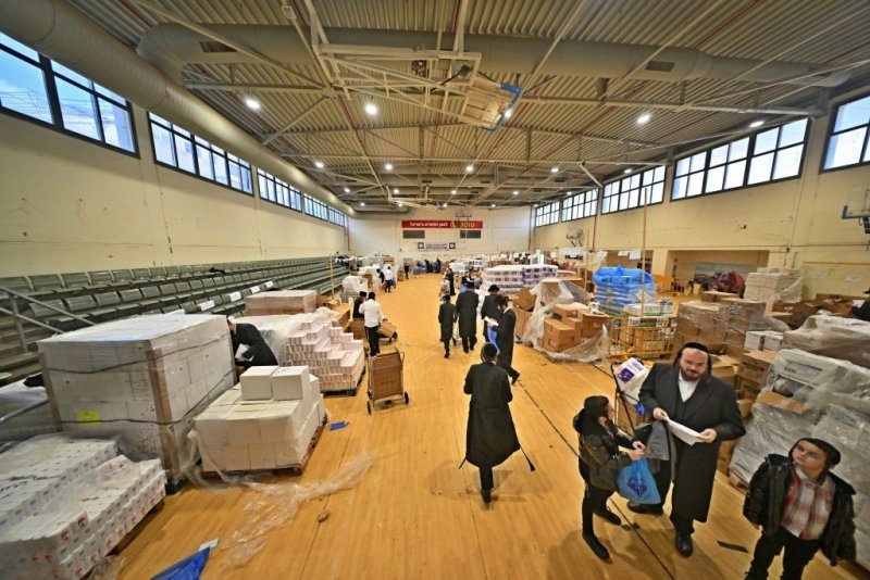 יהושע פרוכטר