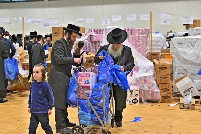 יהושע פרוכטר