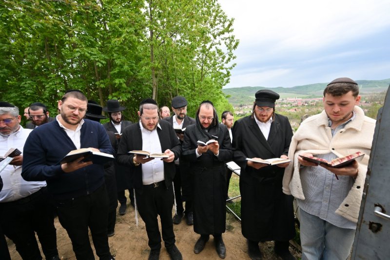 מאיר אדרי