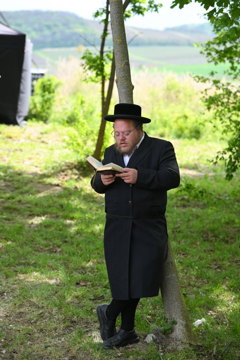 מאיר אדרי