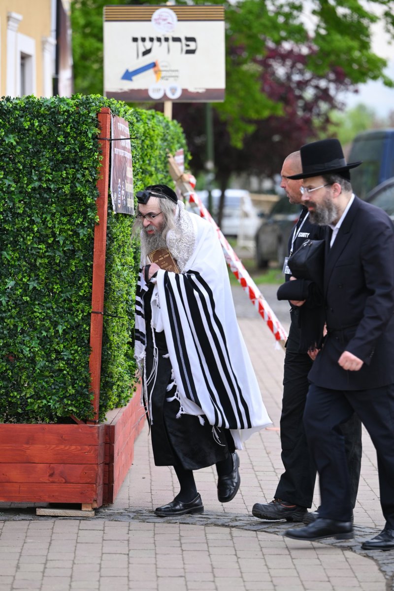 מאיר אדרי