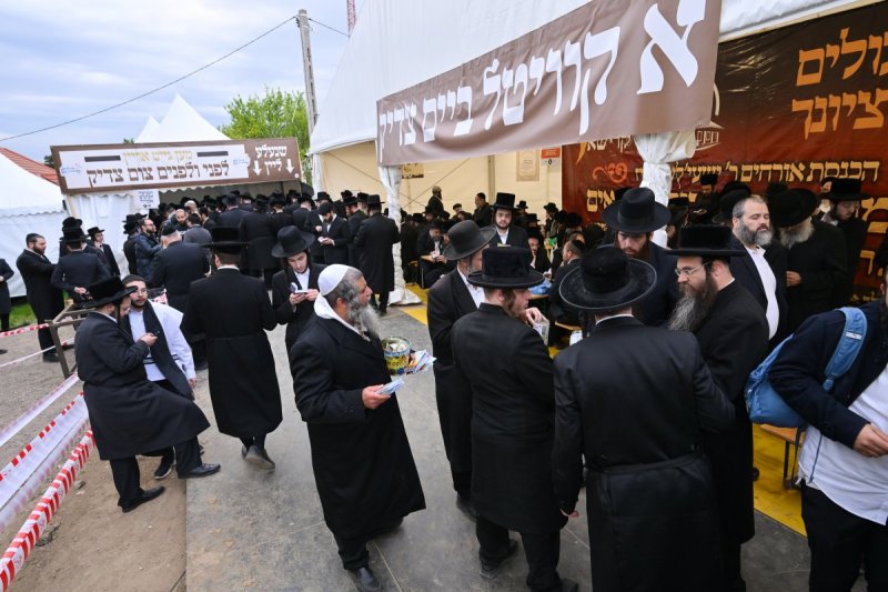 מאיר אדרי