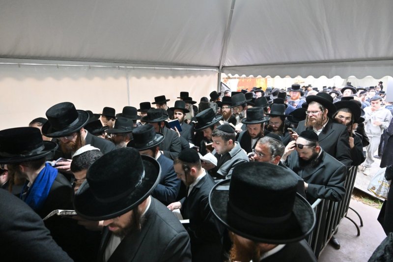 מאיר אדרי