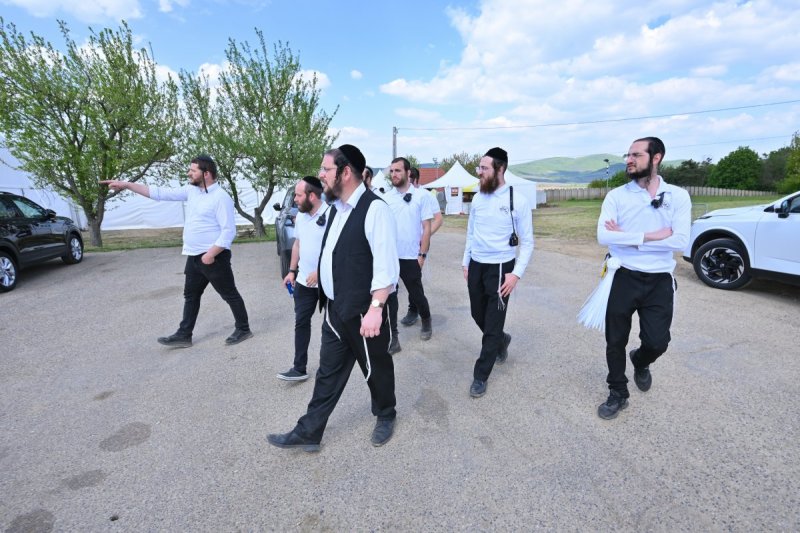מאיר אדרי