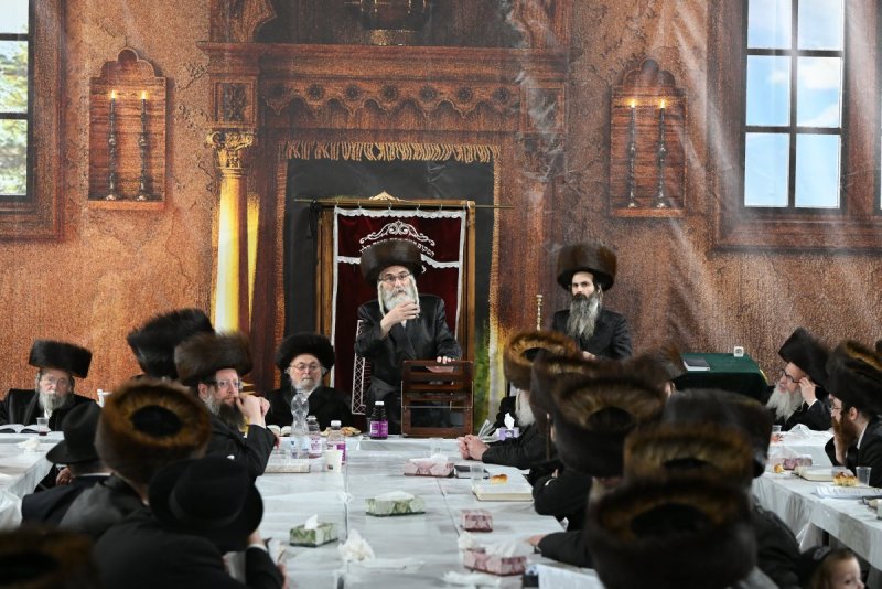 מאיר אדרי