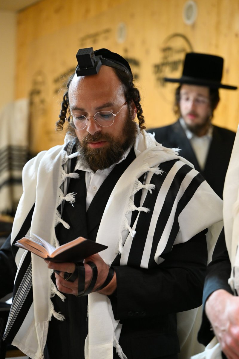 מאיר אדרי