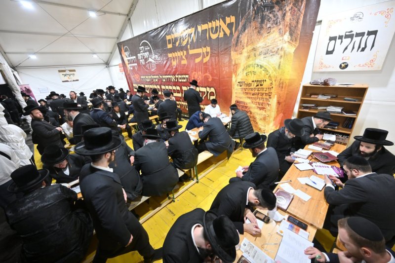 מאיר אדרי