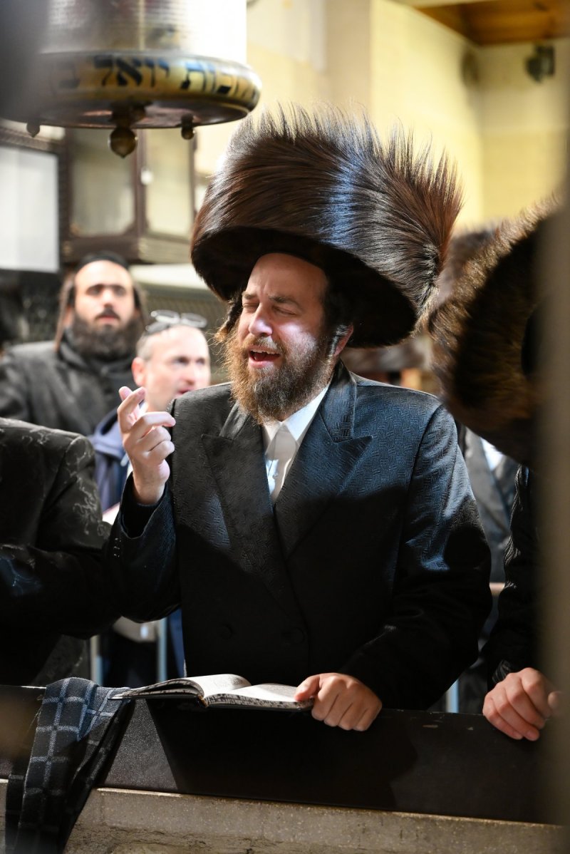 מאיר אדרי