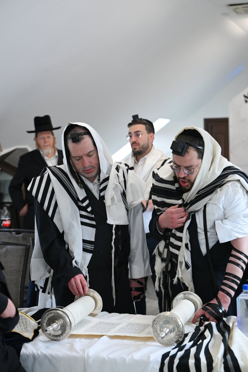 מאיר אדרי
