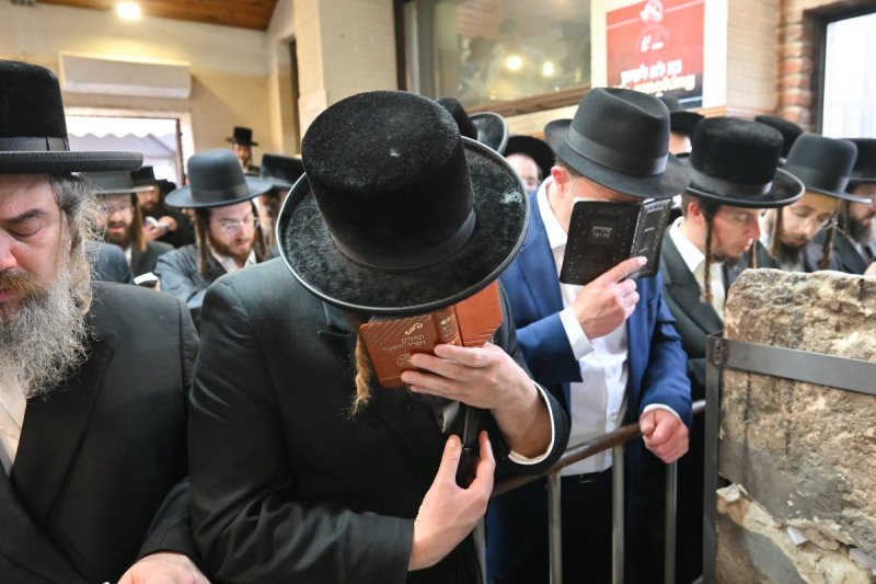 מאיר אדרי