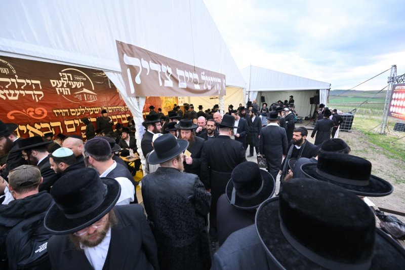 מאיר אדרי